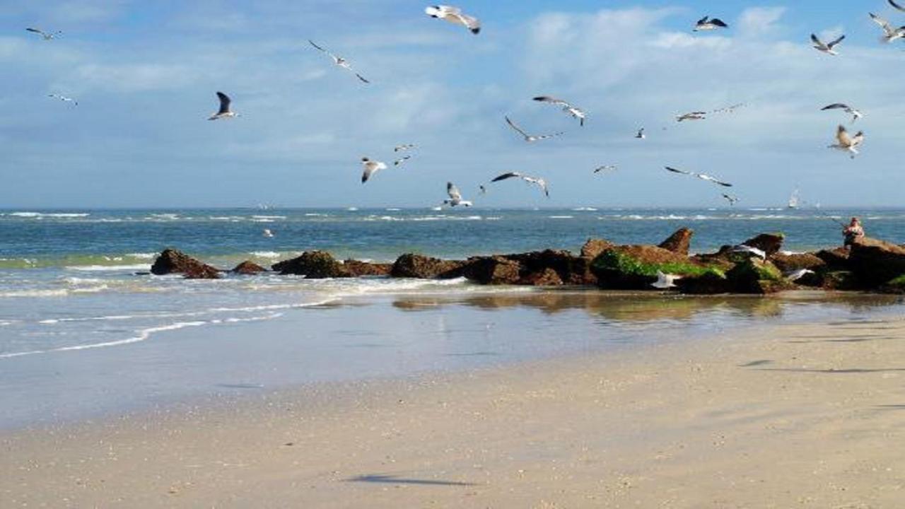 The Saint Augustine Beach House 外观 照片